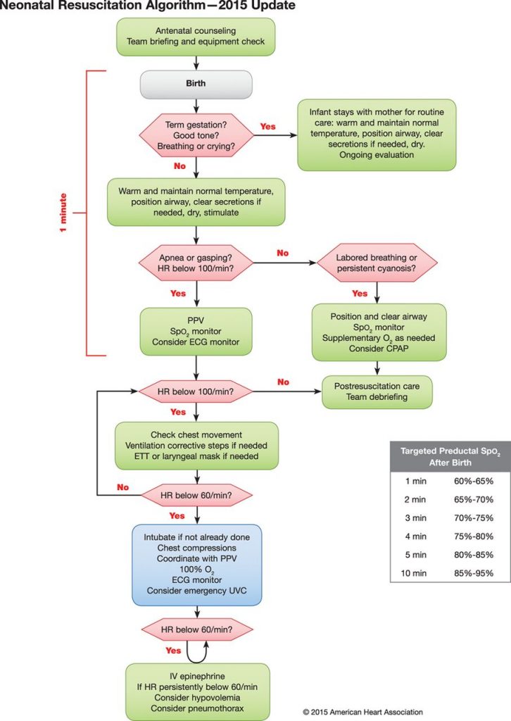 Cardiac Arrest Algorithm Aha 2020 Top Printable Acls Algorithms