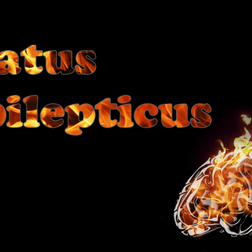 status epilepticus