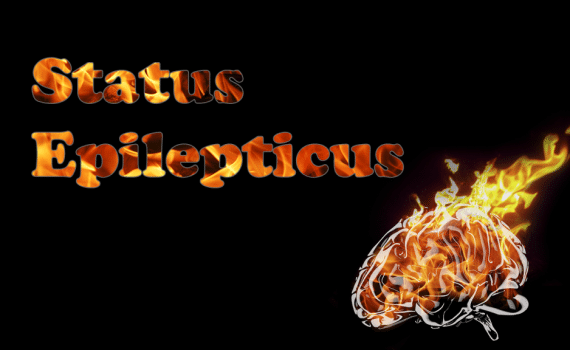 status epilepticus
