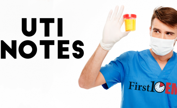 UTI -more than you ever wanted to know