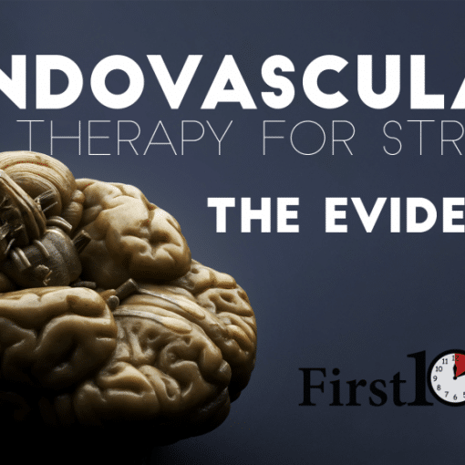 interventional therapy for stroke