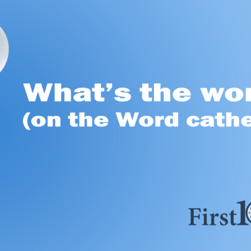 Bartholin's abscesses word catheter evidence