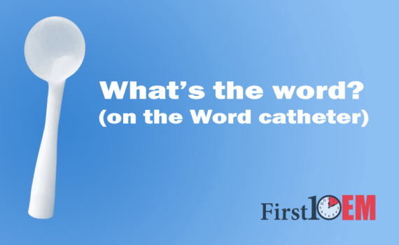 Bartholin's abscesses word catheter evidence