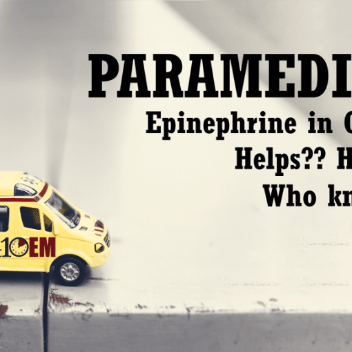 PARAMEDIC 2 title image
