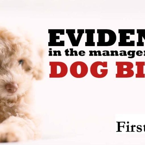 Dog Bite Evidence