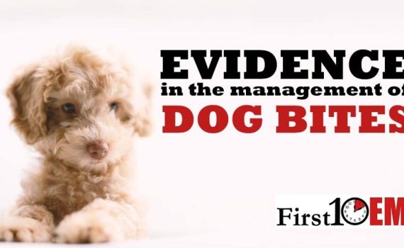 Dog Bite Evidence