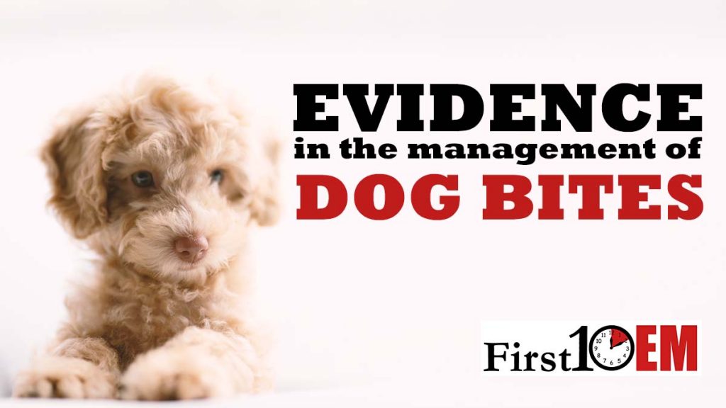 Dog Bite Evidence
