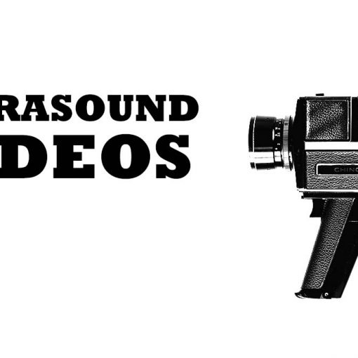 ultrasound videos