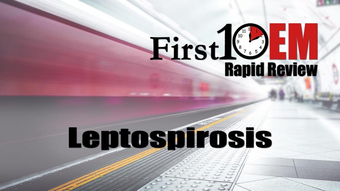 leptospirosis