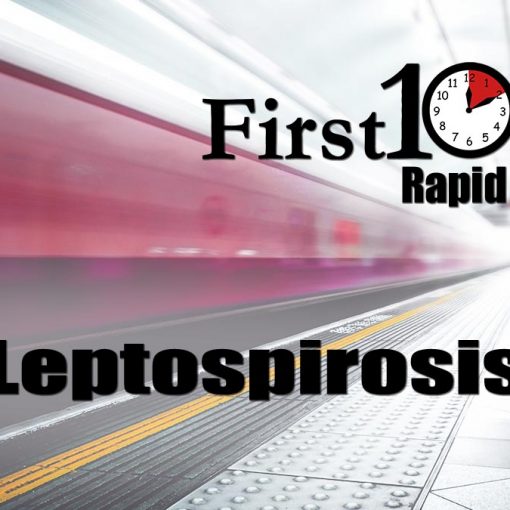 leptospirosis