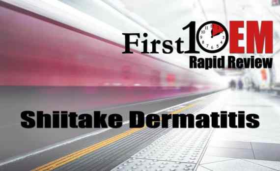 shiitake dermatitis