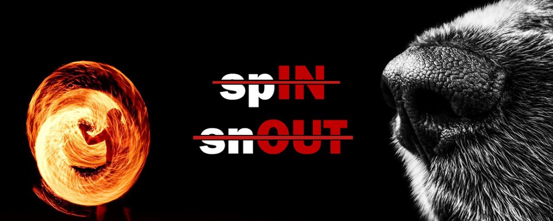 sensitivity and specificity are lying spin snout