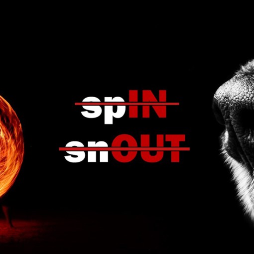 sensitivity and specificity are lying spin snout