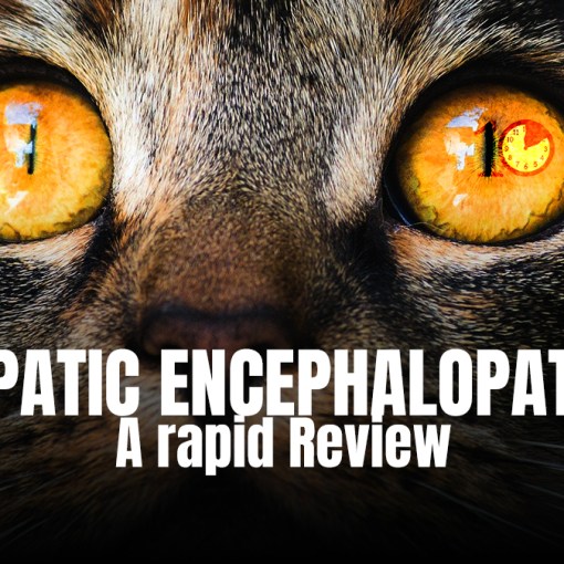 Hepatic Encephalopathy rapid review