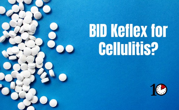 bid dosing for cephalexin