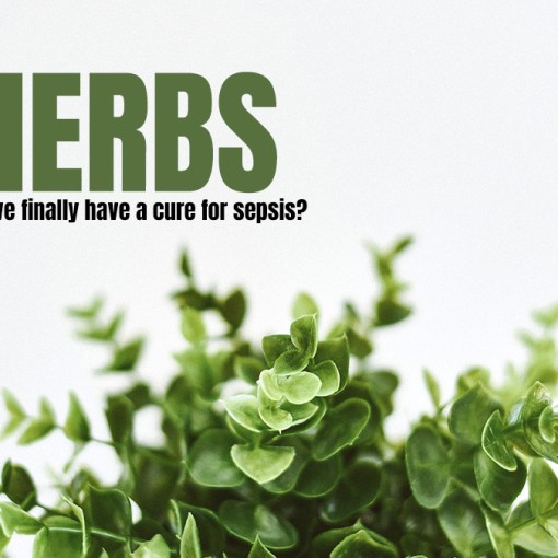 Herbs for sepsis