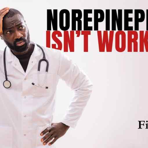 Norepinephrine isnt working - refractory shock