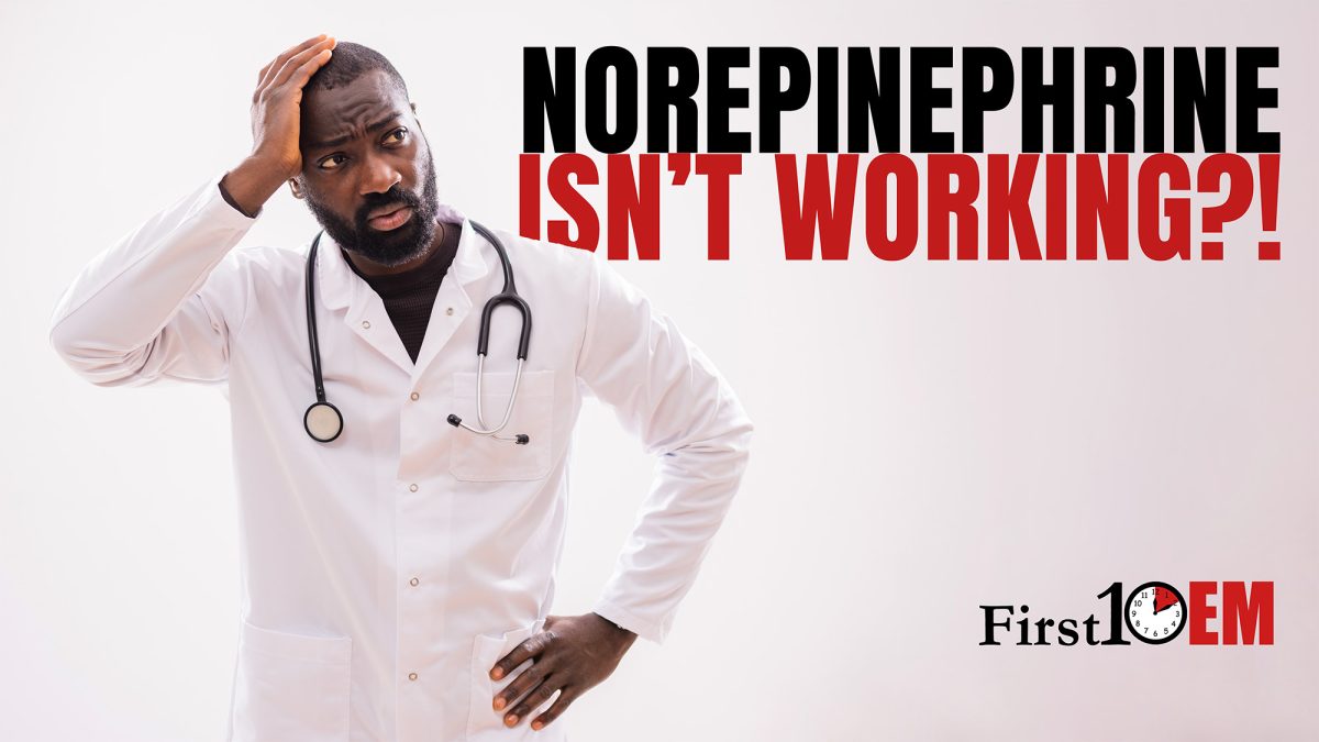 Norepinephrine isnt working - refractory shock